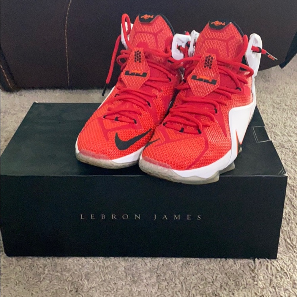 Lebron 12 Heart of a lion sz 11 9/10 condition